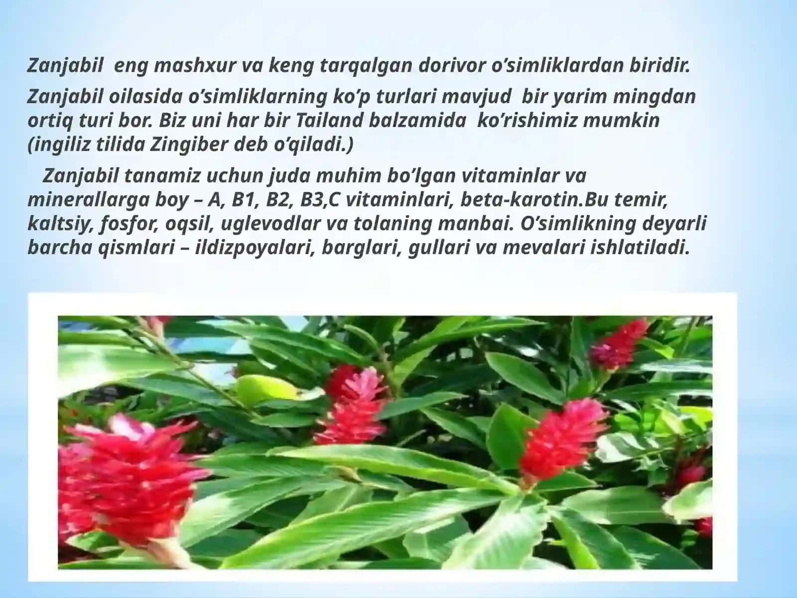 Ziravorlarning shifobaxshlik xususiyati 4