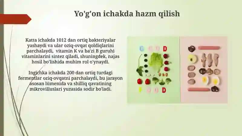 Ingichka ichakda hazm qilish 4