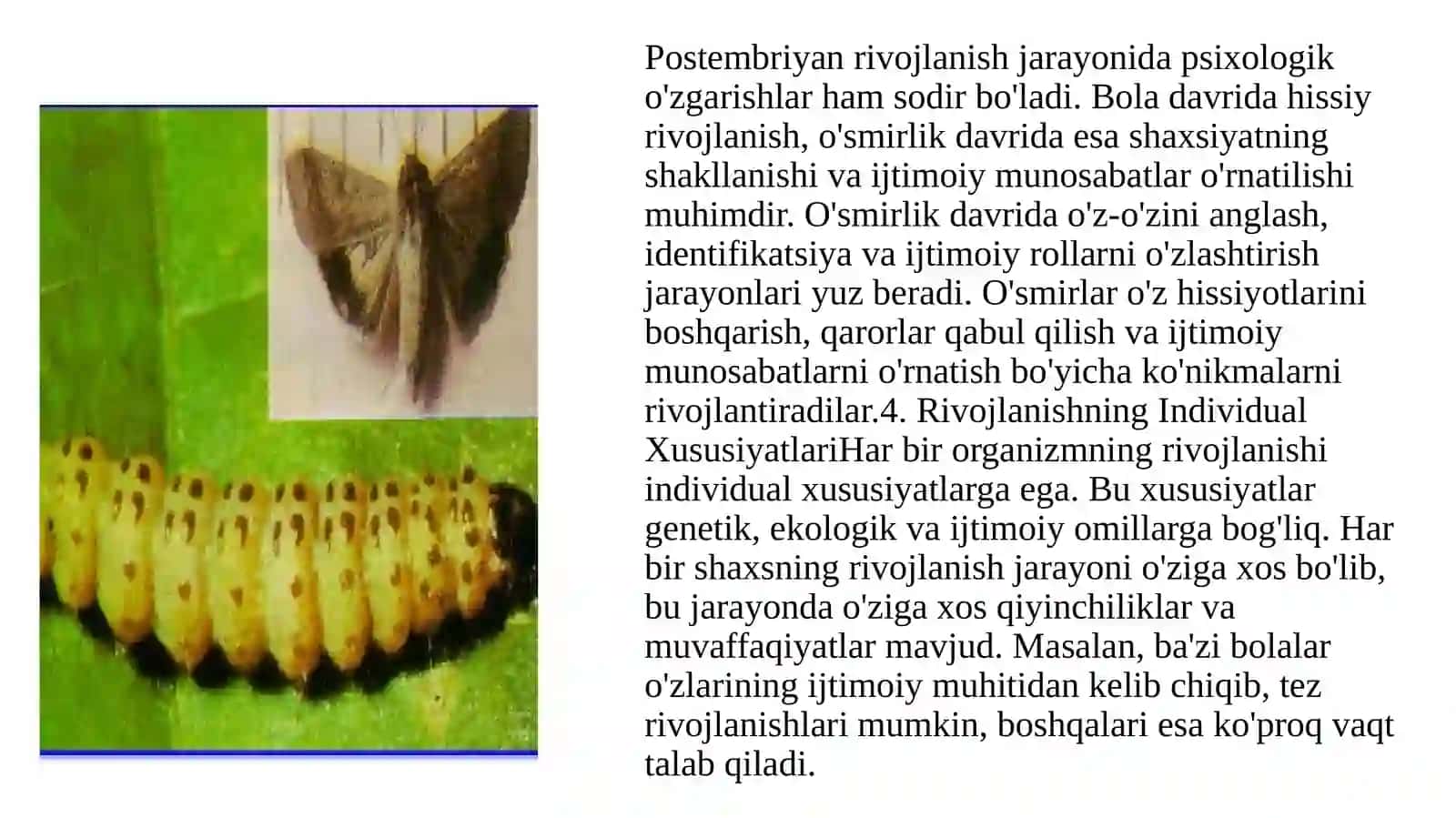 POSTEMBRIONAL RIVOJLANISHNING UMUMIY QONUNIYATLARI 4