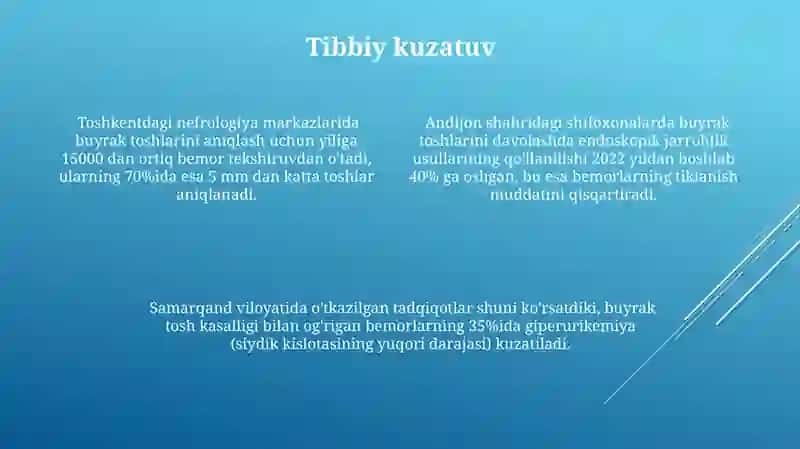 Buyraklar tuzulishi 4
