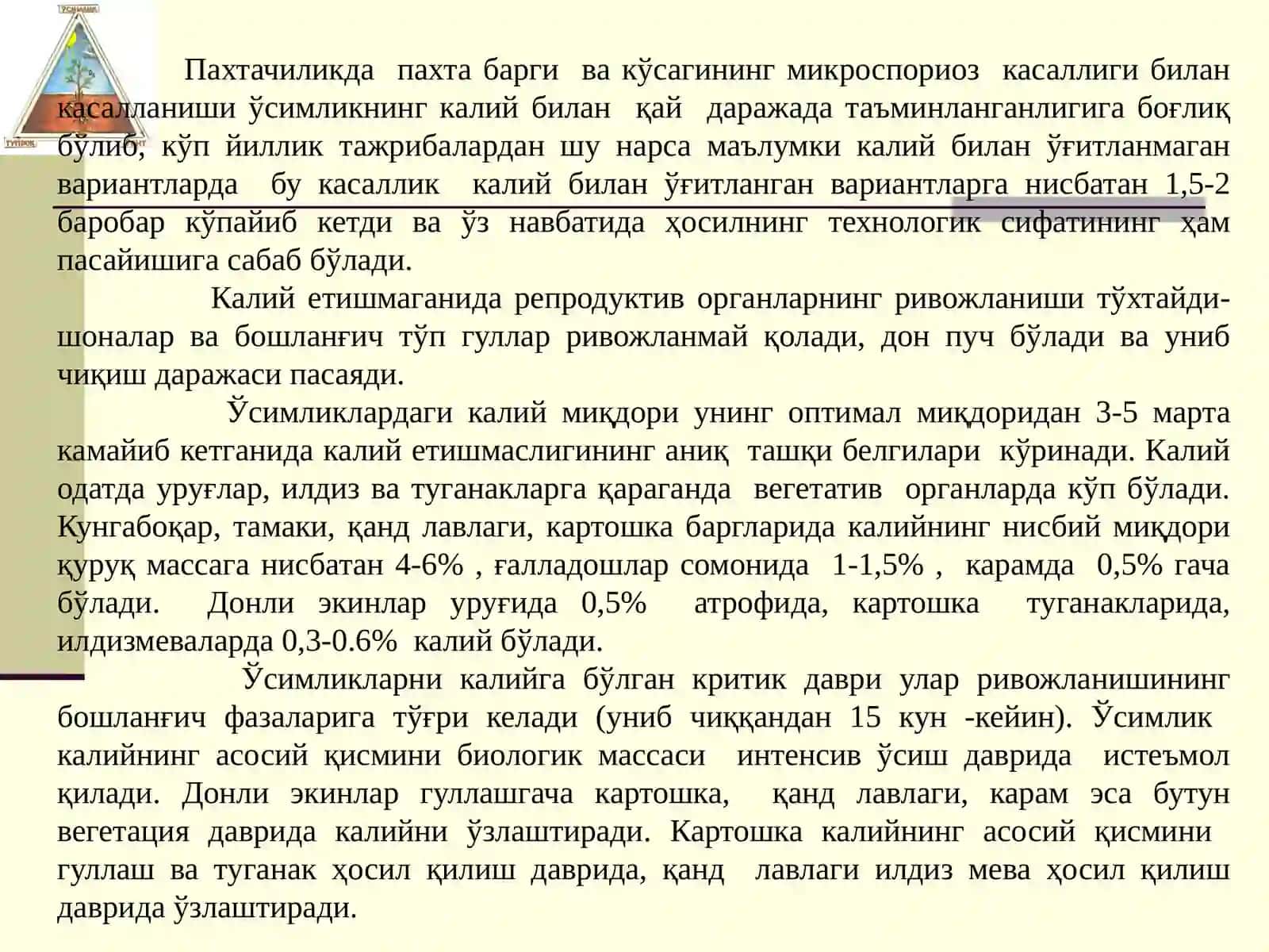 КАЛИЙЛИ ЎҒИТЛАРНИНГ ОЛИНИШИ, АҲАМИЯТИ ВА ИШЛАТИЛИШИ 4