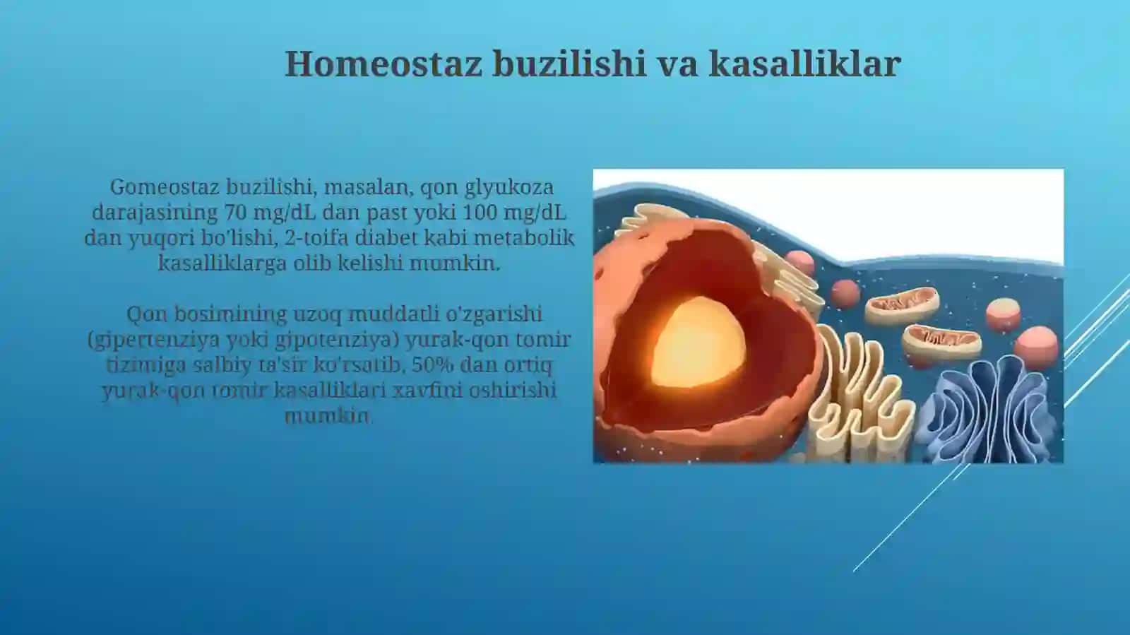 Gomeostaz 4