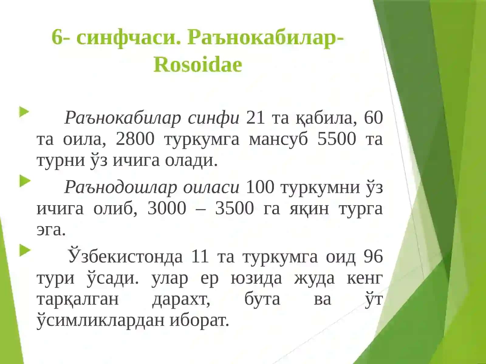 Раънонамолар қабиласи-Rosales 4