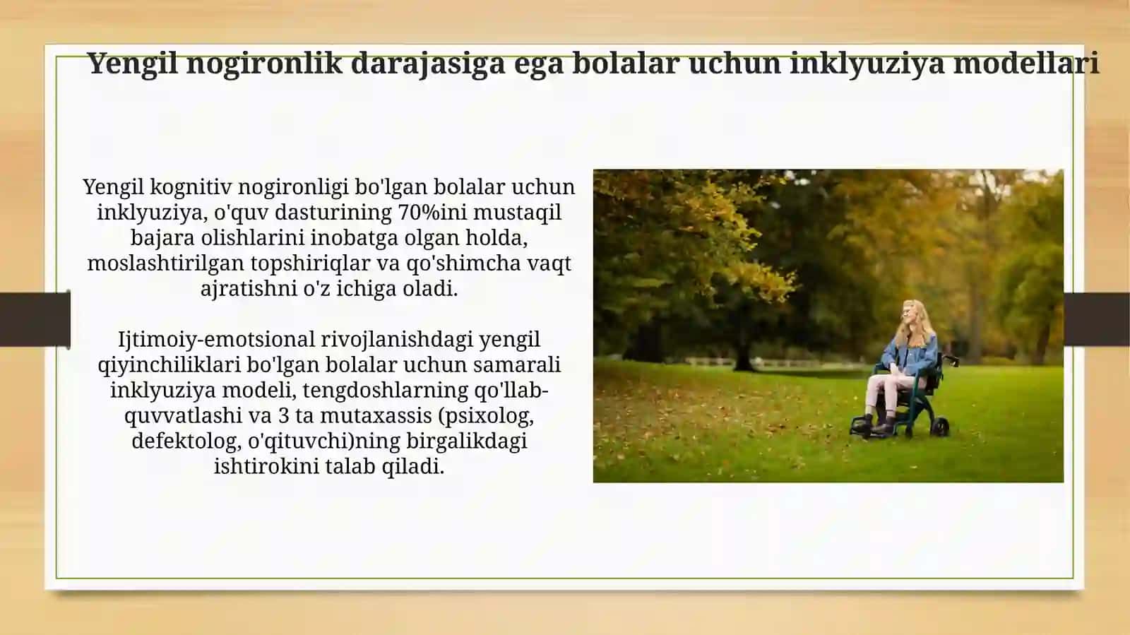 Inklyuziya modellari 4