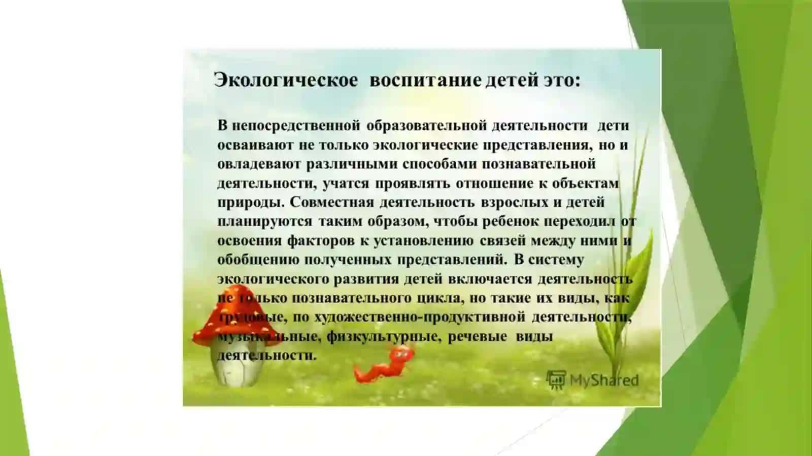 Формирование экологических представлений у детей дошкольного возраста 4