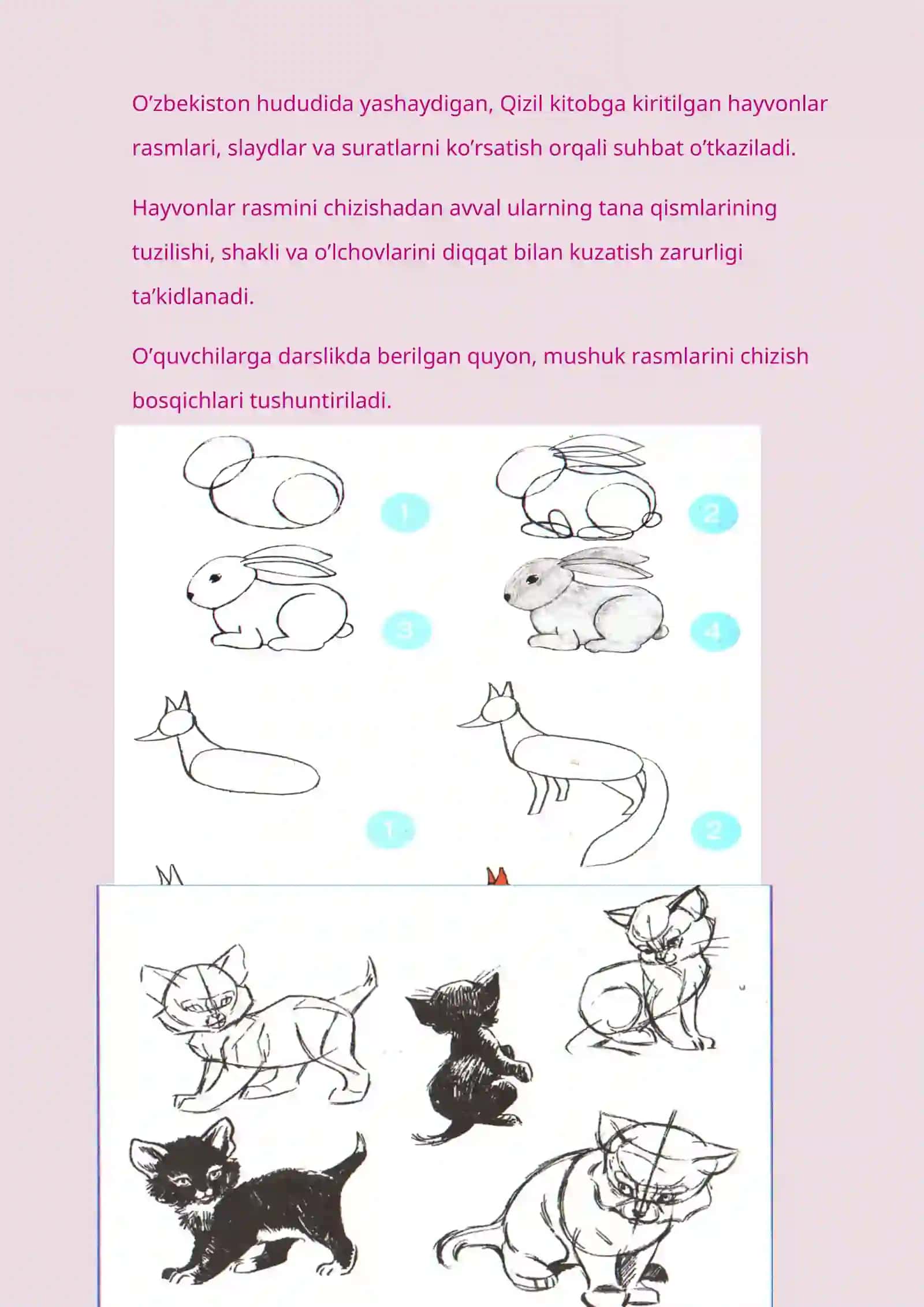 5-sinf Tasviriy san'at Men sevgan hayvon rasmini ishlash dars ishlanma 4
