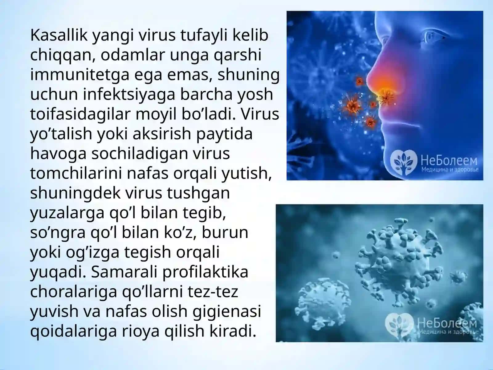Koronavirusnidavolashusullarihaqida 4