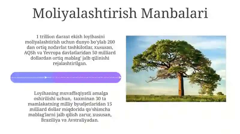Dunyoda 1 trillion daraxt ekish loyihasi 4