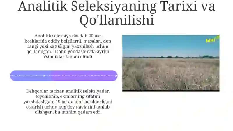 Analitik va Sintetik Seleksiya 4