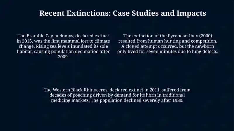 Understanding Extinction: Definitions and Causes 4