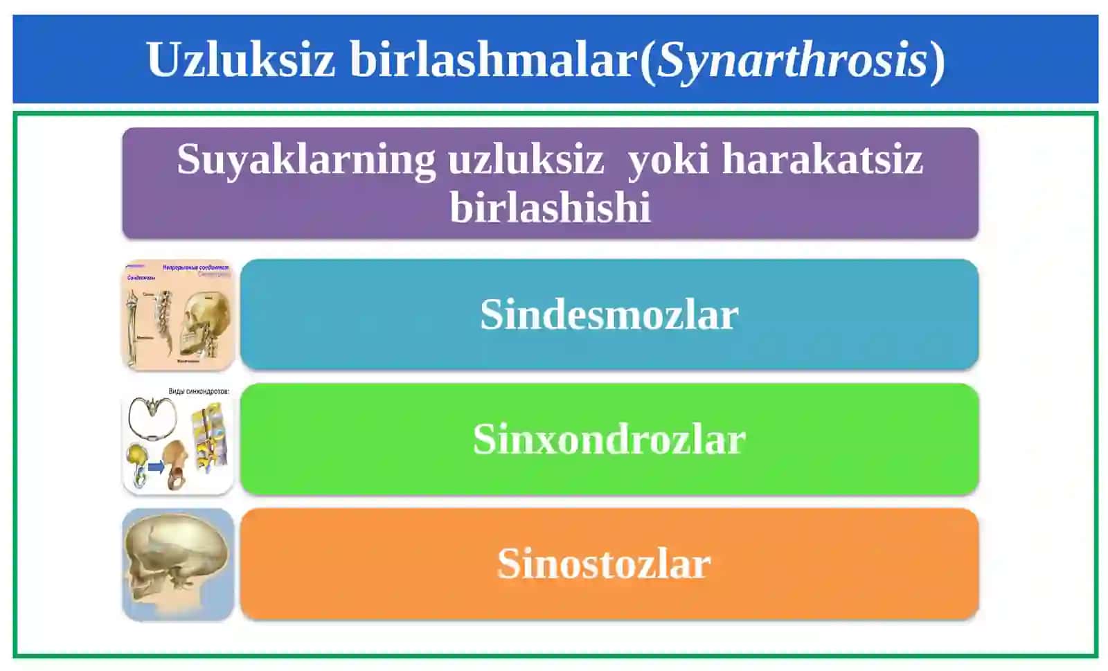 Sindesmologiya ODAM ANATOMIYASI 4