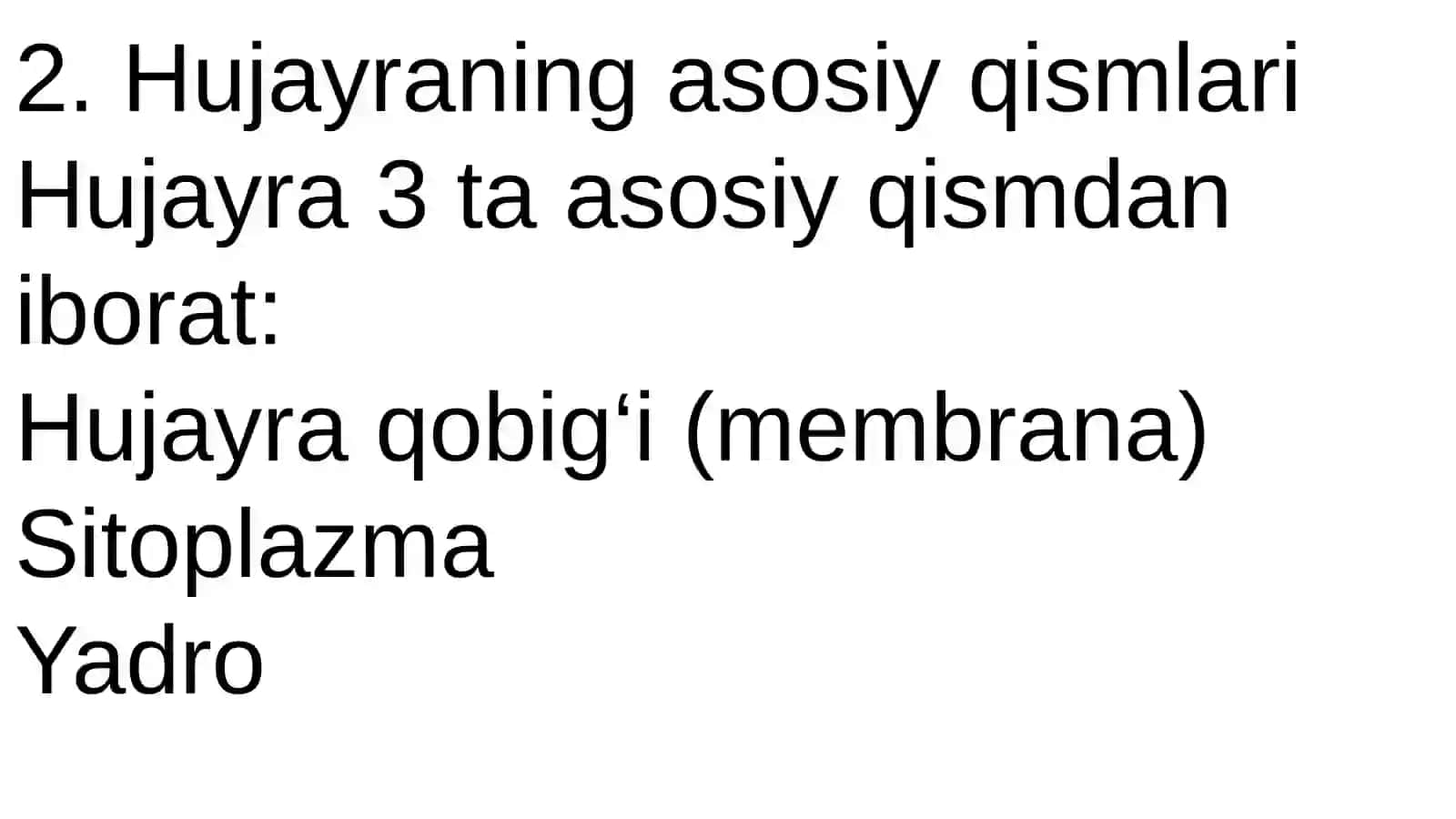 S.SHODIYONA ANATOMIYA 4