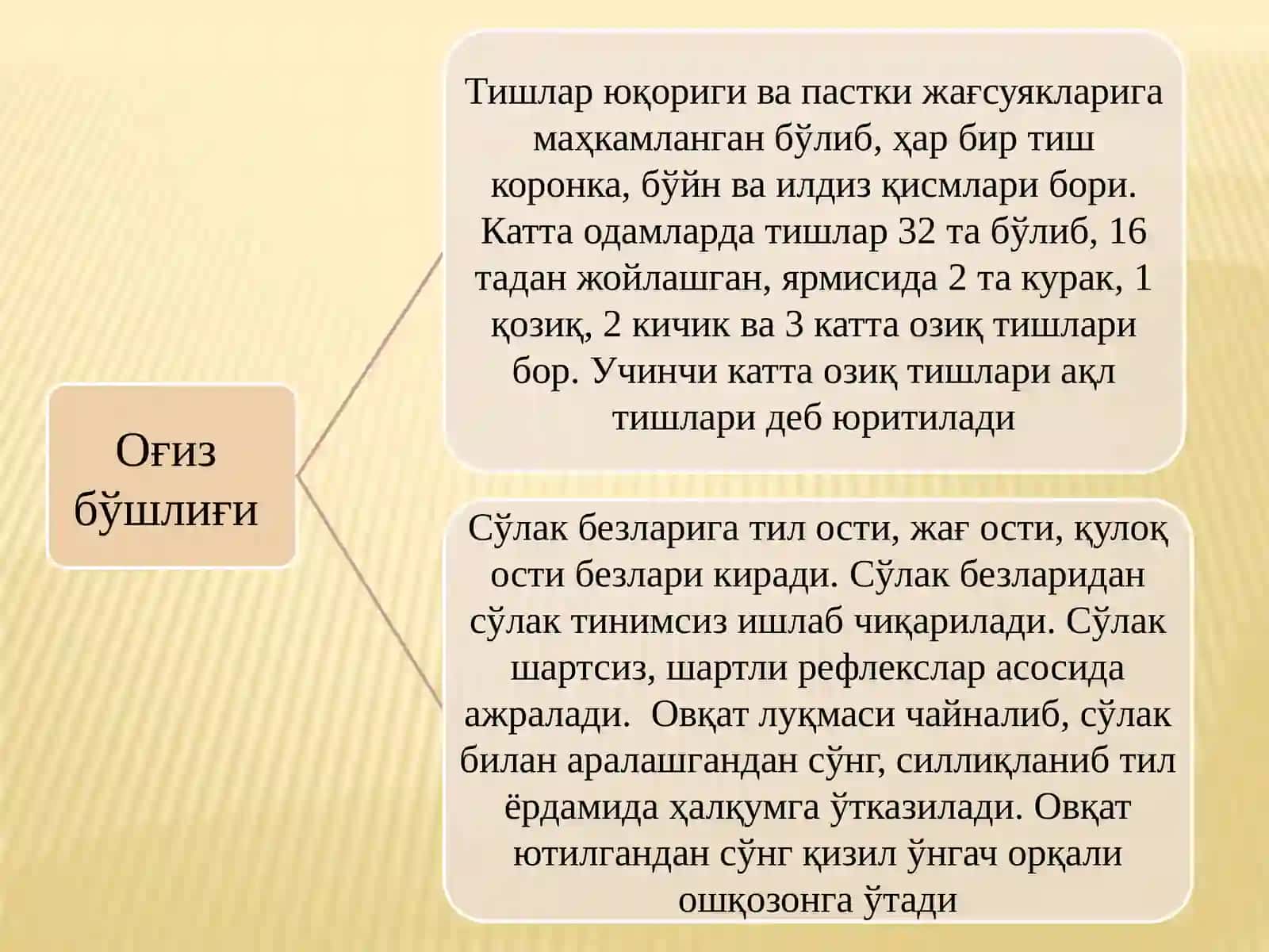 ОВҚАТ ҲАЗМ ҚИЛИШ ТИЗИМИНИНГ ЁШ 4