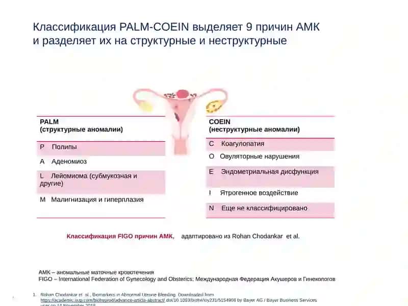 обильные менструальные кровотечения: от теории к практике 4