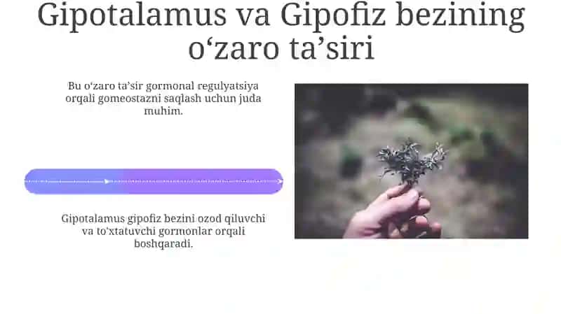 Asosiy ichki sekretsiya bezlari 4