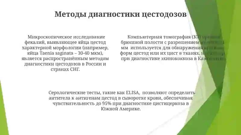 Жасмина Абдуллаева 4