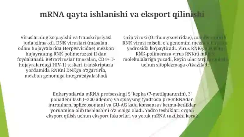 Virus gemonlaring replikatsiyasi transkripsiyasi 4