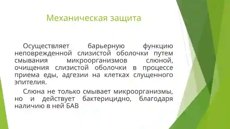 ЗАЩИТНЫЕ МЕХАНИЗМЫ ПОЛОСТИ РТА 4