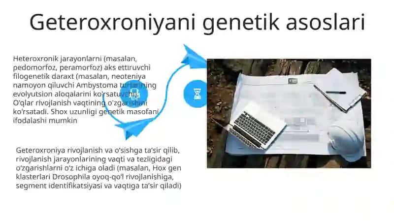 Gexoxroniya holatlari va misollari 4