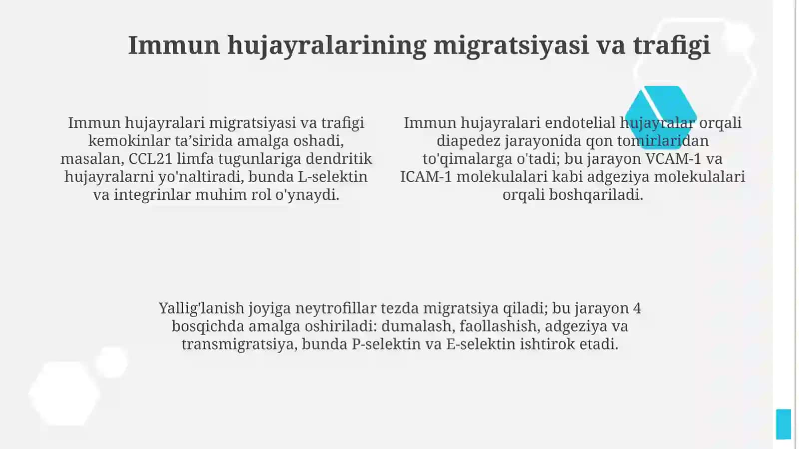 Immun himoya reaksiyalarining morfologil asoslari. 4