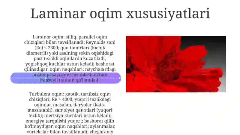 Laminar va turbulent oqimlari 4