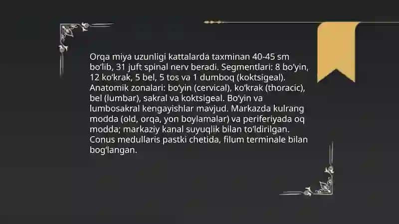 Bosh va orqa miya 4