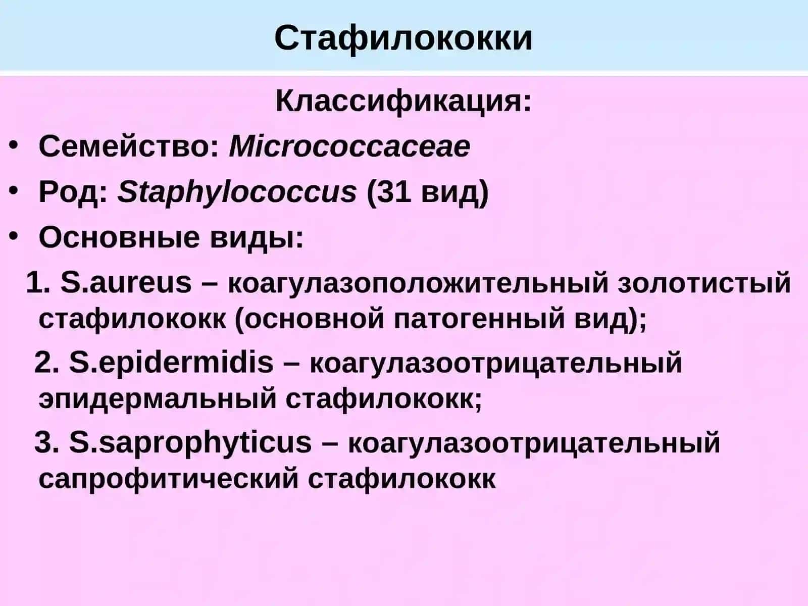 Возбудители гнойно-воспалительных заболеванийПатогенные кокки 4
