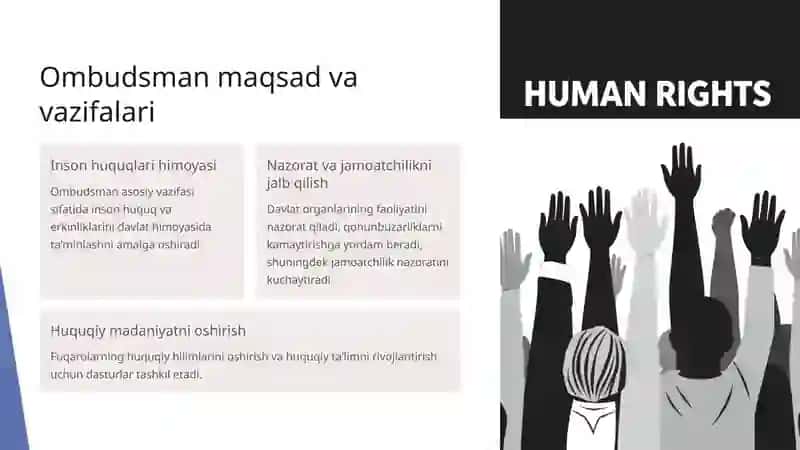 Ombudsman instituti 4