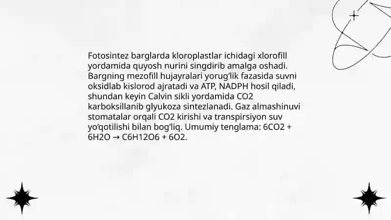 Barg va uning vazifalari haqida 4