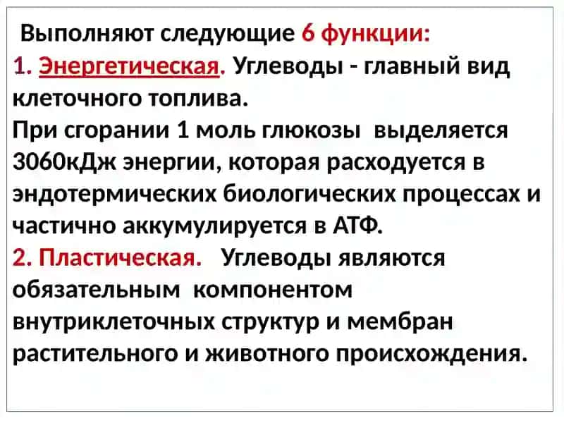 Углеводы 4