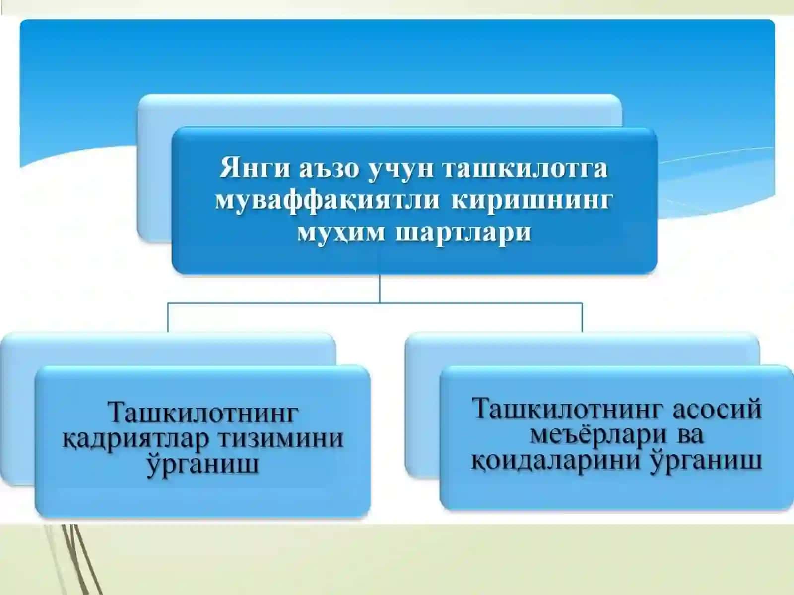 ИНСОНВА ТАШКИЛОТ 4