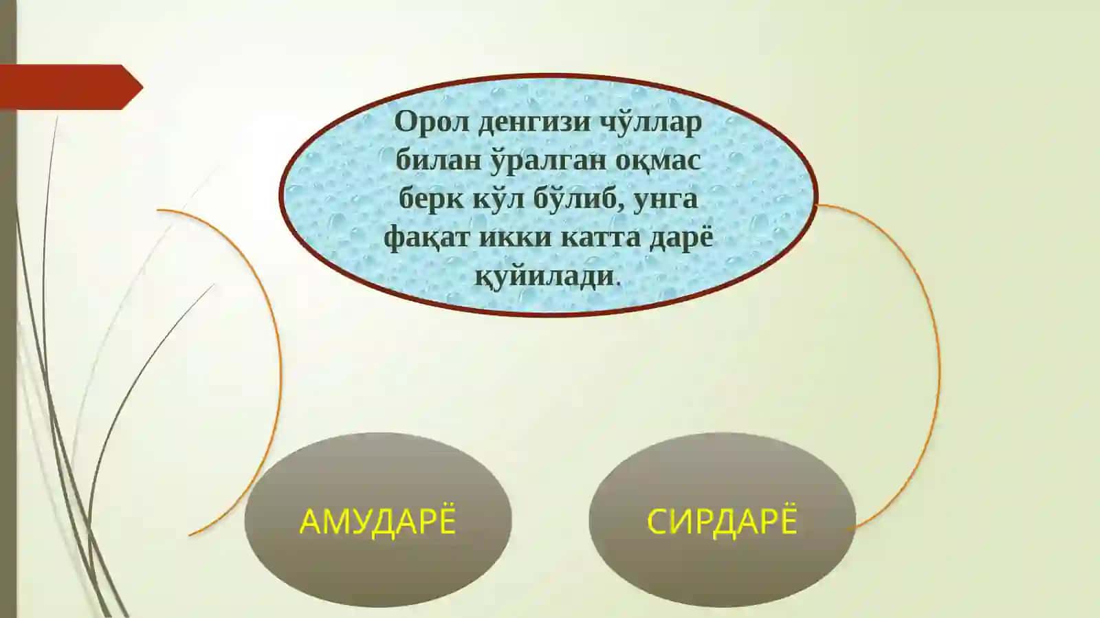 Orol va orolbo'yi muammolarining kelib chiqish sabablari 4