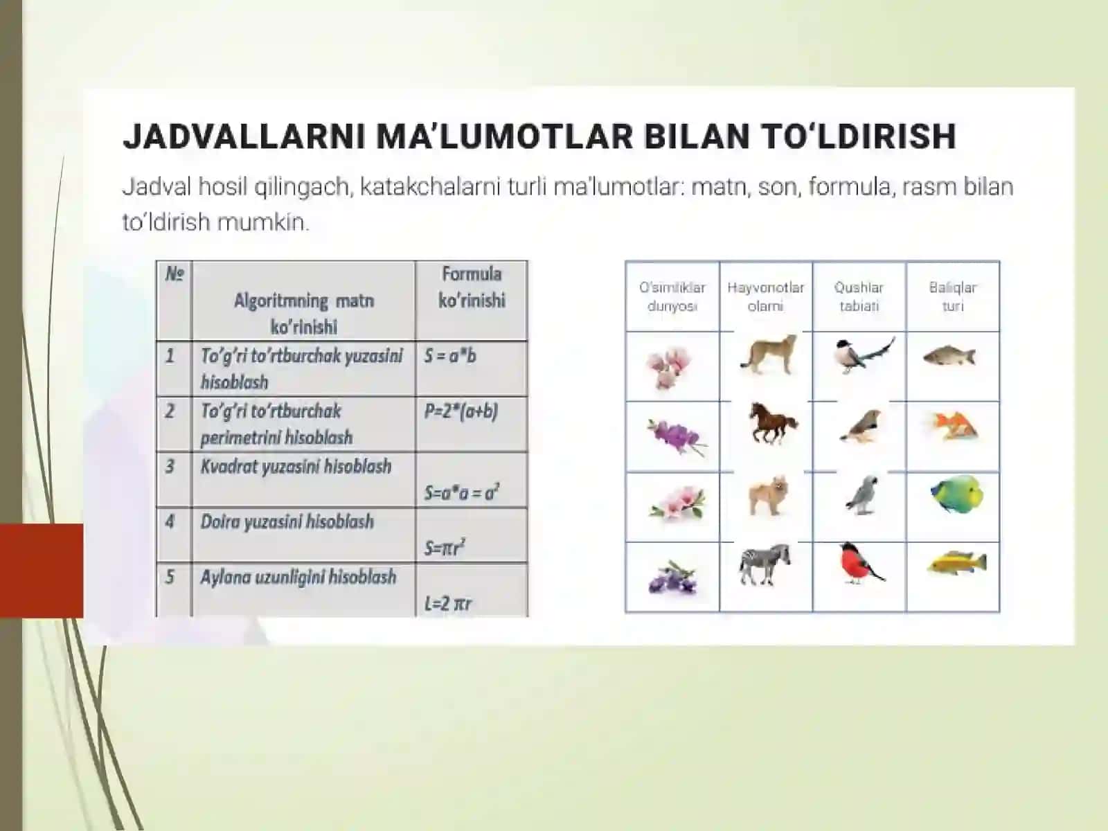 Jadval yaratish va formatlash 4