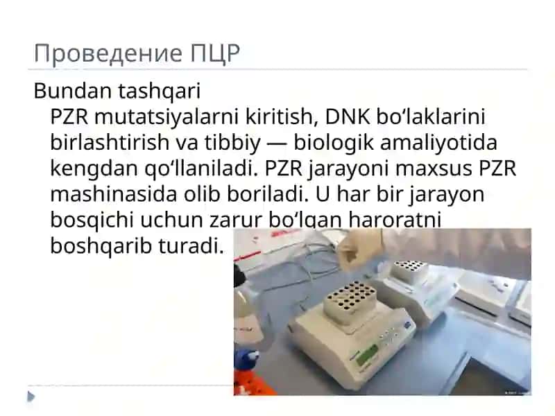 Polimerzanjir reaksiyasi (ПЦР) 4