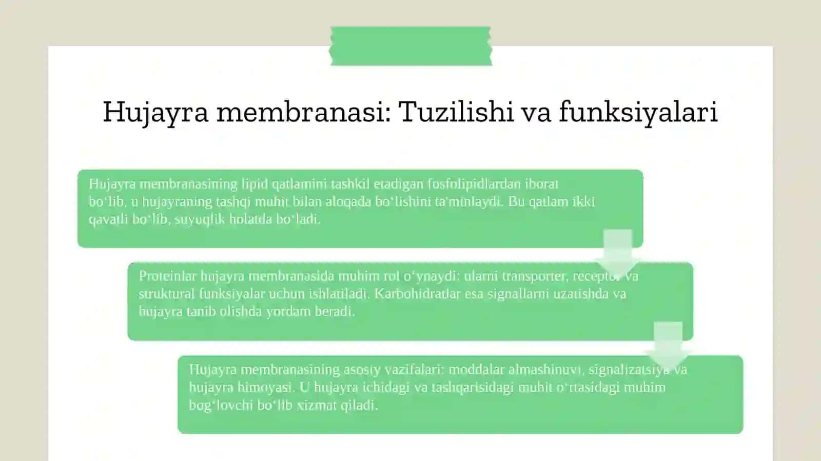Òsimlik hujayrasining tuzilishi 4