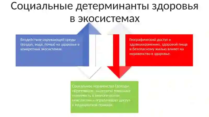 Медицинская экология 4