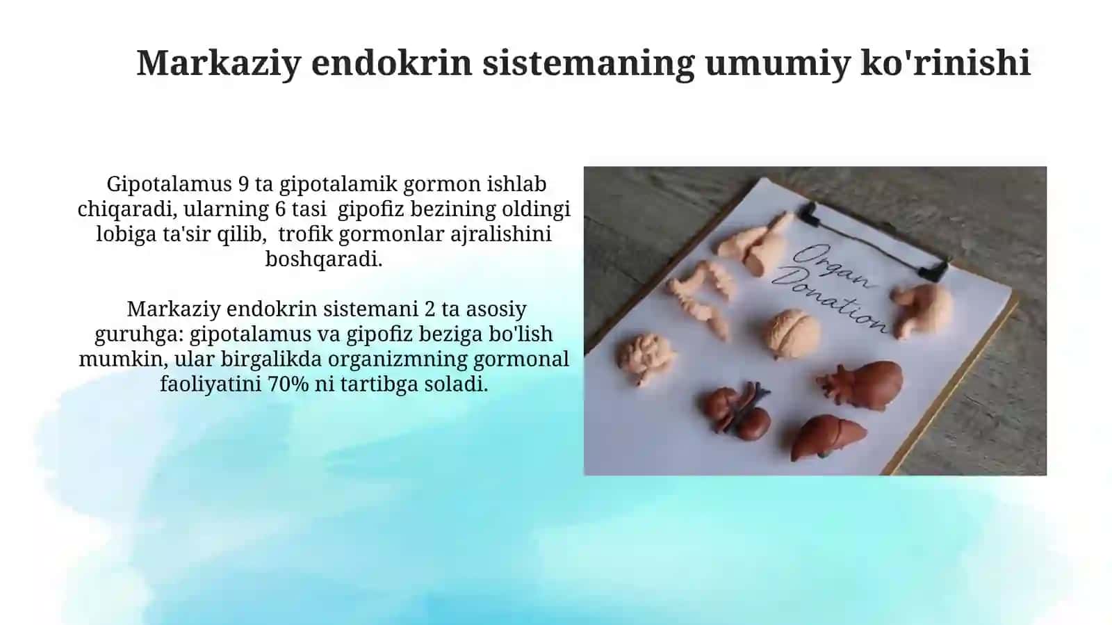 Markaziy endokrin tizimi a‘zolari 4