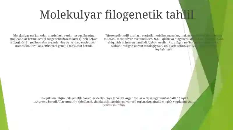 Gulli OʻSimliklarni Kelib Chiqishi 4