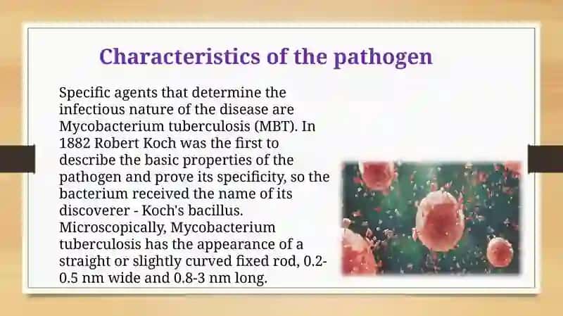 Tuberculosis 4