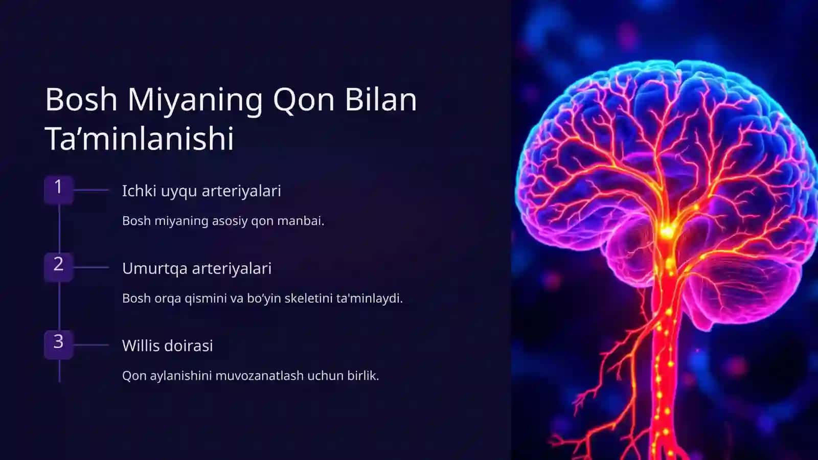 Qon Tomirlar Tizimiga Kirish 4
