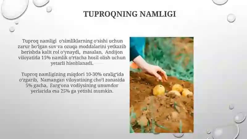 Tuproq va uning tabiiy xususiyatlari 4