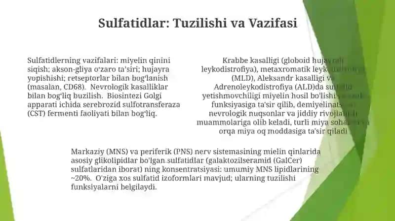 Miyelinlashning Glikolipidlari 4