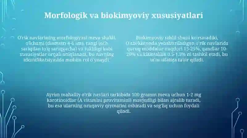 O'rik Navlari 4