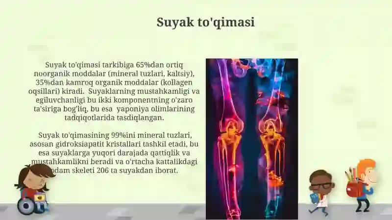 Suyak to'qimasi 4