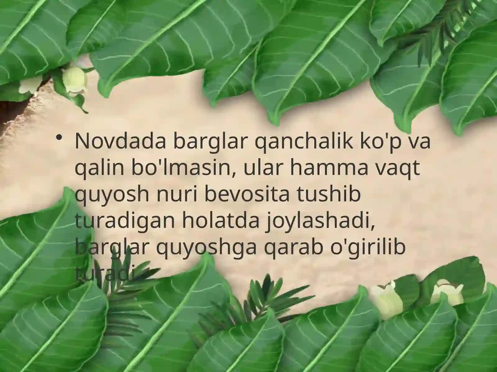 6-sinf Botanika Novdada barglarning joylashishi 4