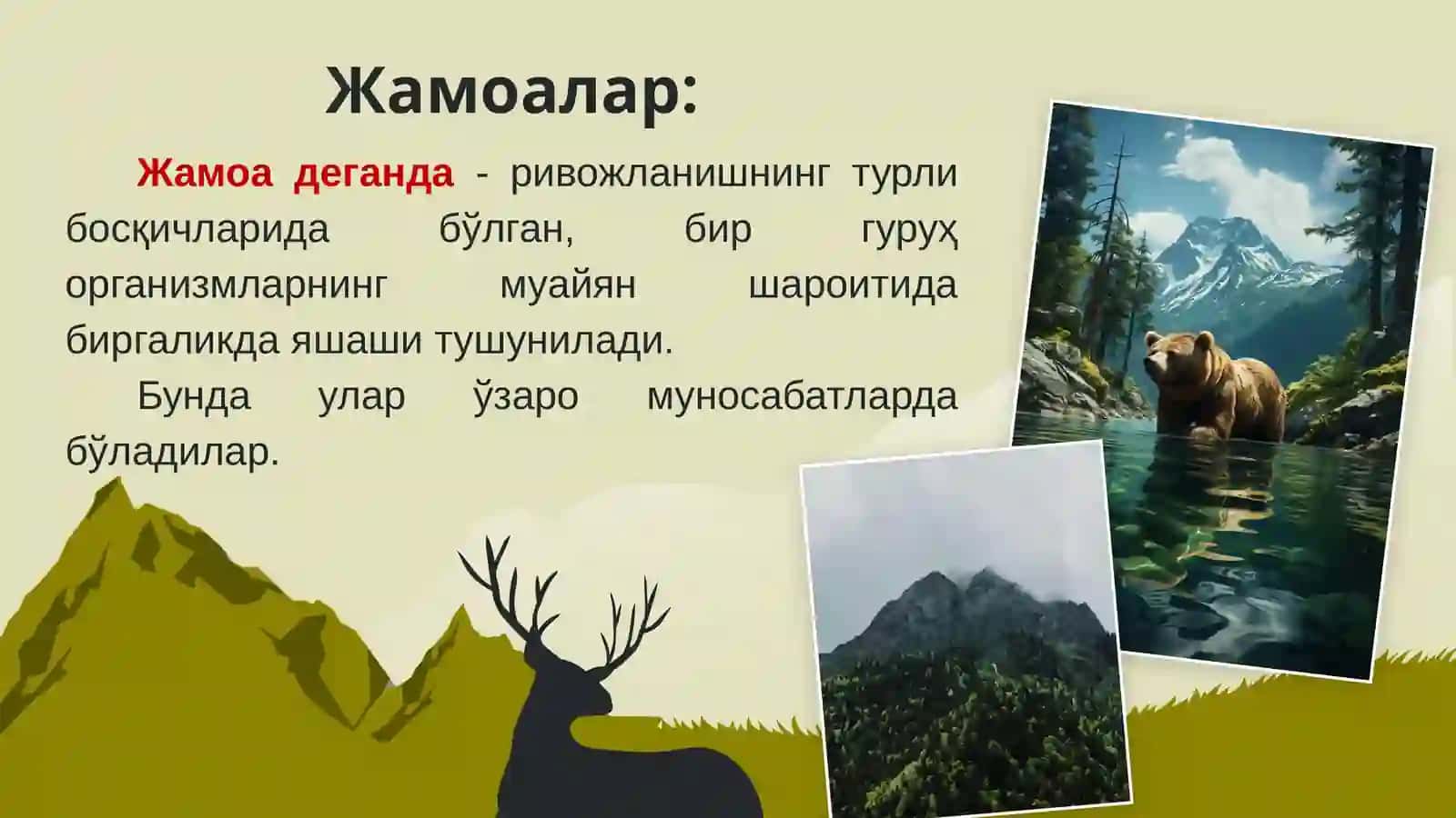 Жамоалар ҳақида таълимот(Биоценоз) 4