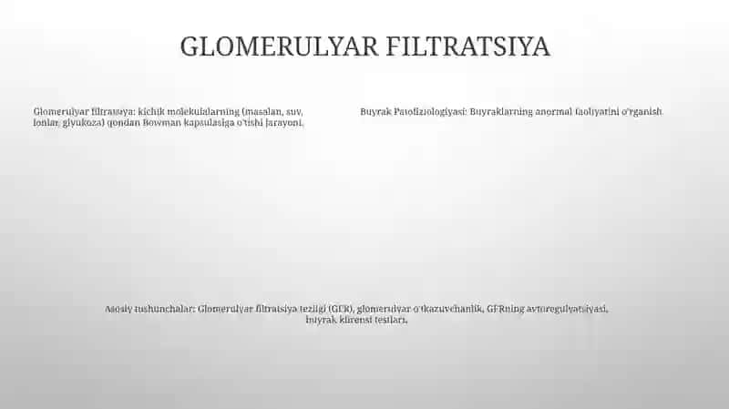 Buyrak Patofiziologiyasi 4