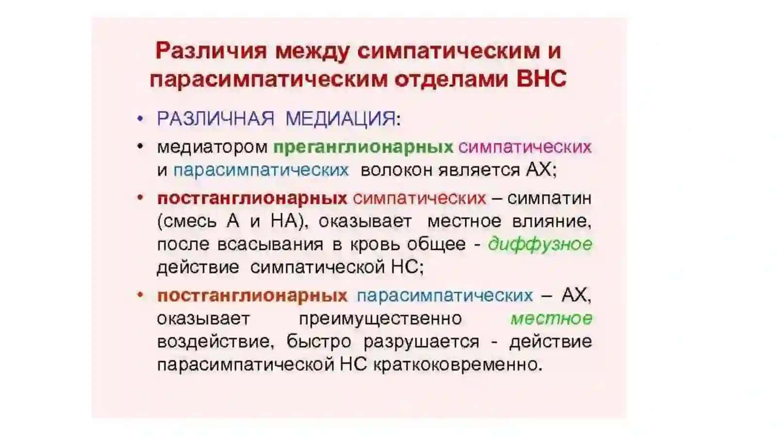 Ацетилхолин 4