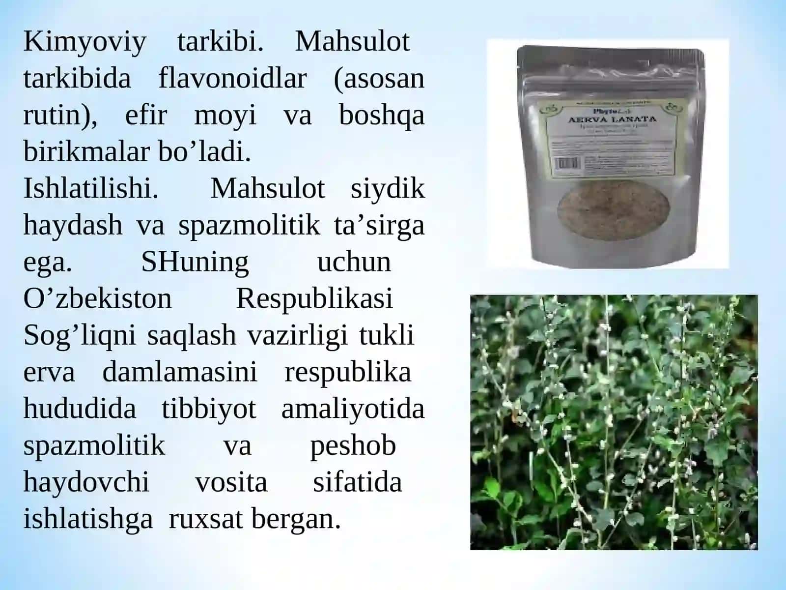 DORIVOR O‘SIMLIKLARNI YETISHTIRISH VA PARVARISHLASH AGROTEXNIKASI 4