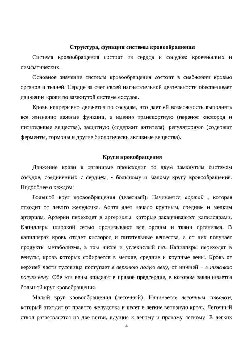 Система кровообращения 4